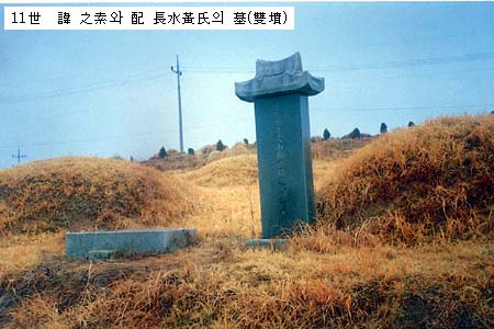 지소