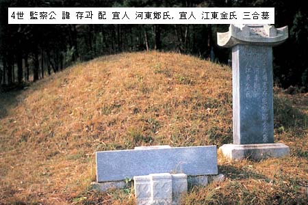 존