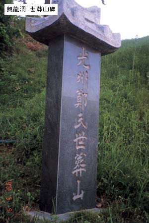 존